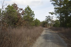 property photo for Stone Creek Phase III Tract 87, 12.07 acres for sale in Latimer County, Oklahoma