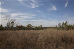 property photo for Stone Creek Phase III Tract 87, 12.07 acres for sale in Latimer County, Oklahoma