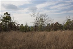 property photo for Stone Creek Phase III Tract 87, 12.07 acres for sale in Latimer County, Oklahoma