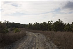 property photo for Stone Creek Phase III Tract 87, 12.07 acres for sale in Latimer County, Oklahoma