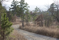Stone Creek Phase III Tract 89