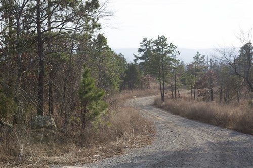 Stone Creek Phase III Tract 89