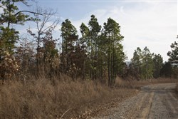 Stone Creek Phase III Tract 89