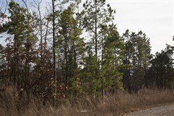 Stone Creek Phase III Tract 89