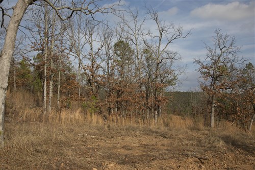 Stone Creek Phase III Tract 90
