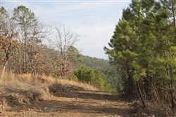 Stone Creek Phase III Tract 90