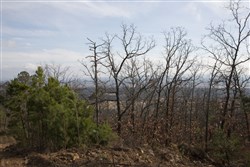 Stone Creek Phase III Tract 90