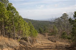 Stone Creek Phase III Tract 90