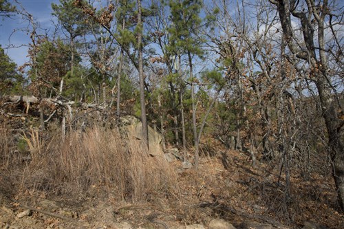 Stone Creek Phase III Tract 92