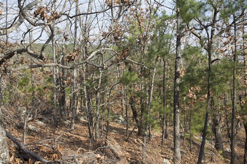 Stone Creek Phase III Tract 92
