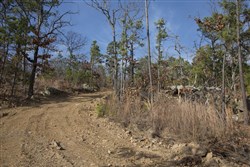 Stone Creek Phase III Tract 92