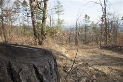 Stone Creek Phase III Tract 92
