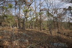 Stone Creek Phase III Tract 92