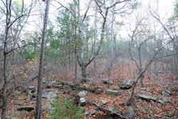 property photo for Stone Bridge Phase II Tract 116, 12.64 acres for sale in LatimerHaskell County, Oklahoma