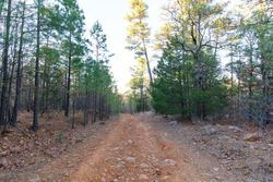 property photo for Stone Bridge Phase II Tract 116, 12.64 acres for sale in LatimerHaskell County, Oklahoma