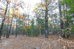 property photo for Stone Bridge Phase II Tract 116, 12.64 acres for sale in LatimerHaskell County, Oklahoma