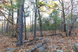 property photo for Stone Bridge Phase II Tract 116, 12.64 acres for sale in LatimerHaskell County, Oklahoma