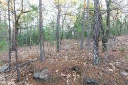 property photo for Stone Bridge Phase II Tract 116, 12.64 acres for sale in LatimerHaskell County, Oklahoma
