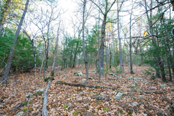 property photo for Stone Bridge Phase II Tract 116, 12.64 acres for sale in LatimerHaskell County, Oklahoma