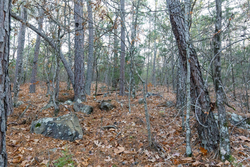 property photo for Stone Bridge Phase II Tract 116, 12.64 acres for sale in LatimerHaskell County, Oklahoma