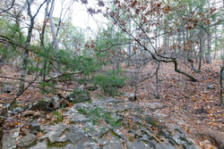 property photo for Stone Bridge Phase II Tract 116, 12.64 acres for sale in LatimerHaskell County, Oklahoma