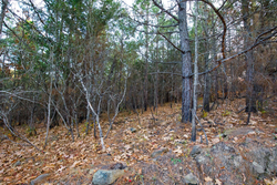 property photo for Stone Bridge Phase II Tract 117, 9.78 acres for sale in LatimerHaskell County, Oklahoma