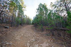property photo for Stone Bridge Phase II Tract 117, 9.78 acres for sale in LatimerHaskell County, Oklahoma