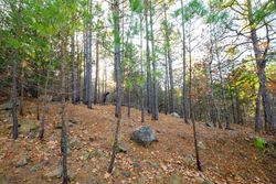 property photo for Stone Bridge Phase II Tract 117, 9.78 acres for sale in LatimerHaskell County, Oklahoma
