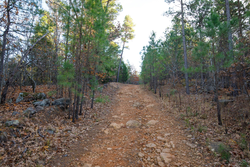 property photo for Stone Bridge Phase II Tract 117, 9.78 acres for sale in LatimerHaskell County, Oklahoma