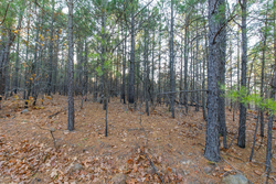 property photo for Stone Bridge Phase II Tract 117, 9.78 acres for sale in LatimerHaskell County, Oklahoma