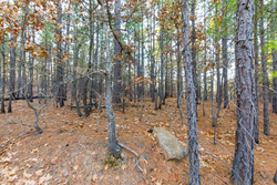 property photo for Stone Bridge Phase II Tract 117, 9.78 acres for sale in LatimerHaskell County, Oklahoma