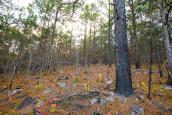 property photo for Stone Bridge Phase II Tract 117, 9.78 acres for sale in LatimerHaskell County, Oklahoma