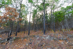 property photo for Stone Bridge Phase II Tract 117, 9.78 acres for sale in LatimerHaskell County, Oklahoma