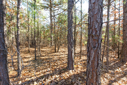 property photo for Stone Bridge Phase II Tract 125, 24.05 acres for sale in LatimerHaskell County, Oklahoma