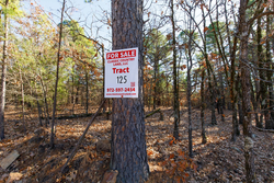 property photo for Stone Bridge Phase II Tract 125, 24.05 acres for sale in LatimerHaskell County, Oklahoma