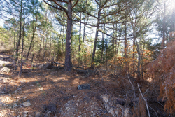 property photo for Stone Bridge Phase II Tract 125, 24.05 acres for sale in LatimerHaskell County, Oklahoma