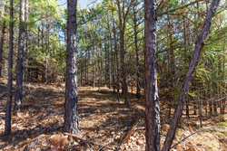 property photo for Stone Bridge Phase II Tract 125, 24.05 acres for sale in LatimerHaskell County, Oklahoma