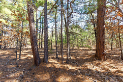 property photo for Stone Bridge Phase II Tract 125, 24.05 acres for sale in LatimerHaskell County, Oklahoma