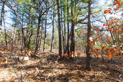 property photo for Stone Bridge Phase II Tract 125, 24.05 acres for sale in LatimerHaskell County, Oklahoma