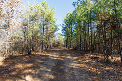 property photo for Stone Bridge Phase II Tract 125, 24.05 acres for sale in LatimerHaskell County, Oklahoma