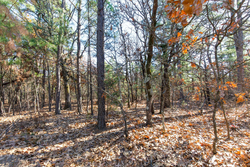 property photo for Stone Bridge Phase II Tract 125, 24.05 acres for sale in LatimerHaskell County, Oklahoma