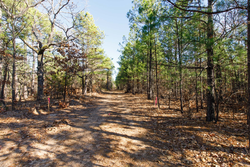 property photo for Stone Bridge Phase II Tract 125, 24.05 acres for sale in LatimerHaskell County, Oklahoma