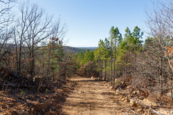 property photo for Stone Bridge Phase II Tract 125, 24.05 acres for sale in LatimerHaskell County, Oklahoma