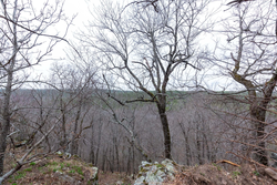 property photo for Stone Bridge Phase III Tract 137, 4.86 acres for sale in LatimerHaskell County, Oklahoma