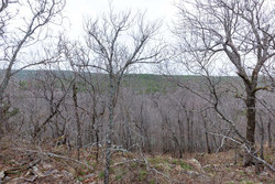 property photo for Stone Bridge Phase III Tract 137, 4.86 acres for sale in LatimerHaskell County, Oklahoma