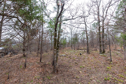 property photo for Stone Bridge Phase III Tract 137, 4.86 acres for sale in LatimerHaskell County, Oklahoma