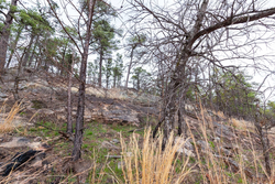 property photo for Stone Bridge Phase III Tract 137, 4.86 acres for sale in LatimerHaskell County, Oklahoma