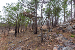 property photo for Stone Bridge Phase III Tract 137, 4.86 acres for sale in LatimerHaskell County, Oklahoma