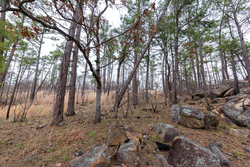 property photo for Stone Bridge Phase III Tract 137, 4.86 acres for sale in LatimerHaskell County, Oklahoma