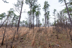 property photo for Stone Bridge Phase III Tract 137, 4.86 acres for sale in LatimerHaskell County, Oklahoma